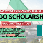 Ergo Scholarship 2025